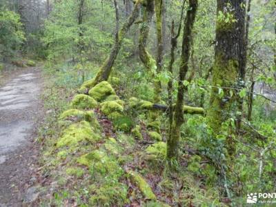 Gerês-Xurés Reserva de la Biosfera Transfronteriza - Semana Santa;fotos de la selva esquiar alto cam